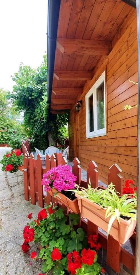 Camping Onda Azzurra Hotel Ортона Екстериор снимка